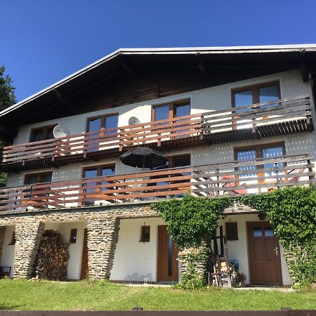 Apartman U Sjezdovky Železná Ruda 外观 照片